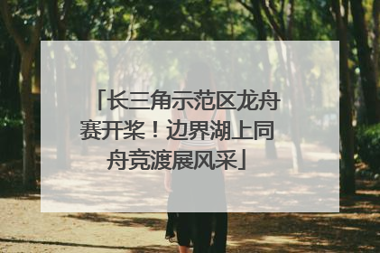 长三角示范区龙舟赛开桨！边界湖上同舟竞渡展风采