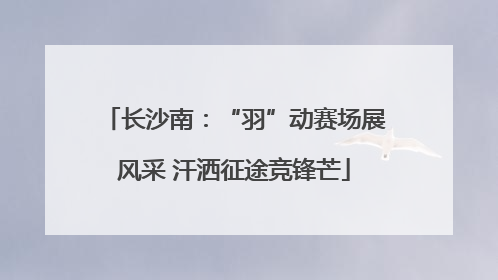 长沙南：“羽”动赛场展风采 汗洒征途竞锋芒