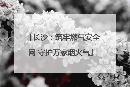 长沙：筑牢燃气安全网 守护万家烟火气