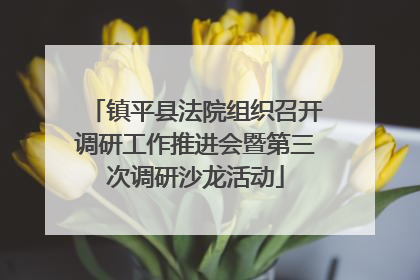镇平县法院组织召开调研工作推进会暨第三次调研沙龙活动