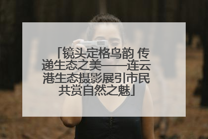 镜头定格鸟韵 传递生态之美——连云港生态摄影展引市民共赏自然之魅
