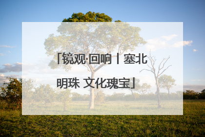镜观·回响丨塞北明珠 文化瑰宝
