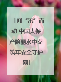 闻“汛”而动 中国太保产险丽水中支筑牢安全守护网