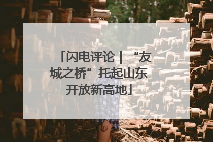 闪电评论｜“友城之桥”托起山东开放新高地
