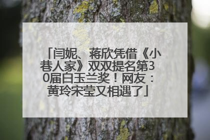 闫妮、蒋欣凭借《小巷人家》双双提名第30届白玉兰奖！网友：黄玲宋莹又相遇了