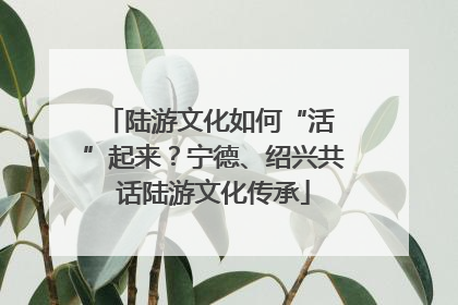 陆游文化如何“活 ”起来？宁德、绍兴共话陆游文化传承