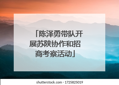 陈泽勇带队开展苏陕协作和招商考察活动