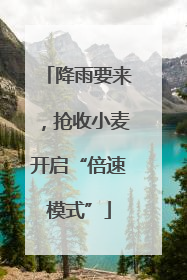 降雨要来，抢收小麦开启“倍速模式”