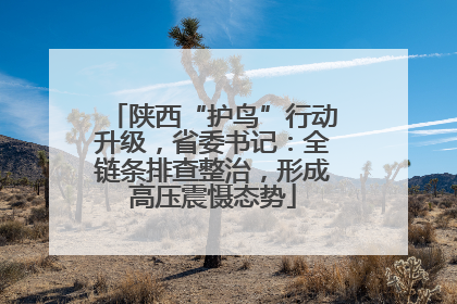 陕西“护鸟”行动升级，省委书记：全链条排查整治，形成高压震慑态势