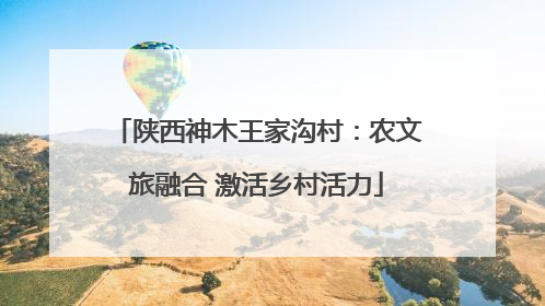 陕西神木王家沟村：农文旅融合 激活乡村活力