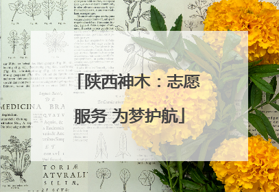 陕西神木：志愿服务 为梦护航