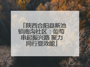 陕西合阳县新池镇南沟社区：葡萄串起振兴路 聚力同行显效能