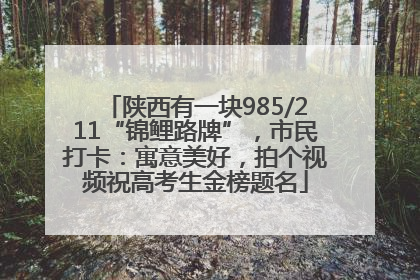 陕西有一块985/211“锦鲤路牌”，市民打卡：寓意美好，拍个视频祝高考生金榜题名