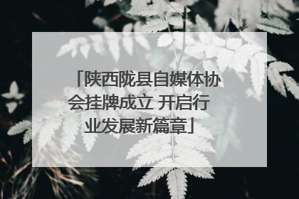 陕西陇县自媒体协会挂牌成立 开启行业发展新篇章
