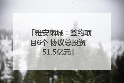 雅安雨城：签约项目6个 协议总投资51.5亿元