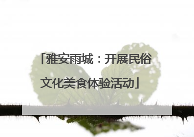 雅安雨城：开展民俗文化美食体验活动
