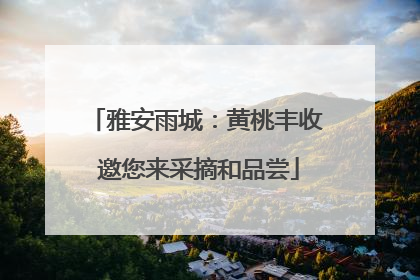 雅安雨城：黄桃丰收 邀您来采摘和品尝