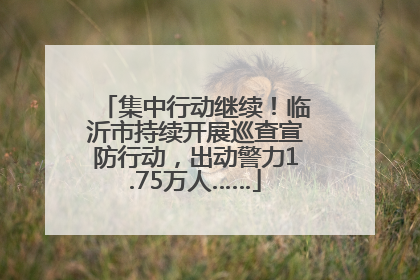 集中行动继续！临沂市持续开展巡查宣防行动，出动警力1.75万人……