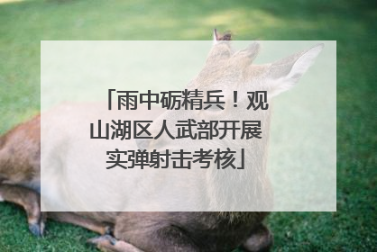 雨中砺精兵！观山湖区人武部开展实弹射击考核