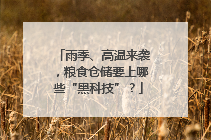 雨季、高温来袭，粮食仓储要上哪些“黑科技”？