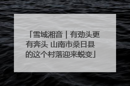 雪域湘音｜有劲头更有奔头 山南市桑日县的这个村落迎来蜕变