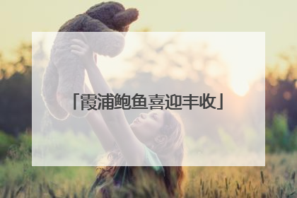 霞浦鲍鱼喜迎丰收