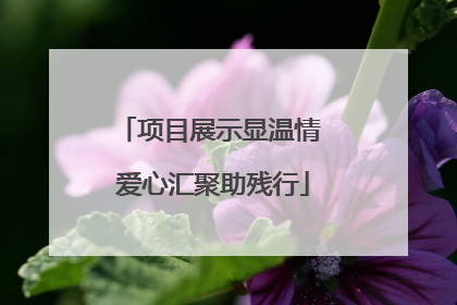 项目展示显温情 爱心汇聚助残行