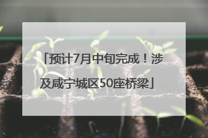 预计7月中旬完成！涉及咸宁城区50座桥梁