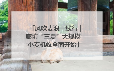 风吹麦浪一线行｜廊坊“三夏”大规模小麦机收全面开始