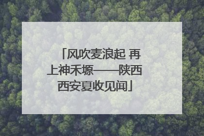 风吹麦浪起 再上神禾塬——陕西西安夏收见闻