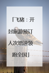 飞猪：开封旅游预订人次增速领跑全国