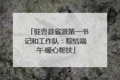 驻曹县省派第一书记和工作队：粽情端午·暖心帮扶