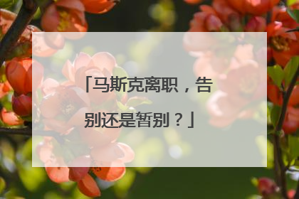 马斯克离职，告别还是暂别？
