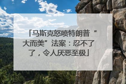 马斯克怒喷特朗普“大而美”法案：忍不了了，令人厌恶至极