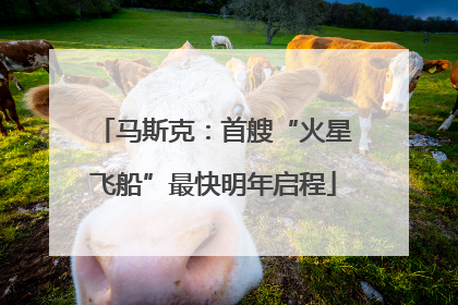 马斯克：首艘“火星飞船”最快明年启程