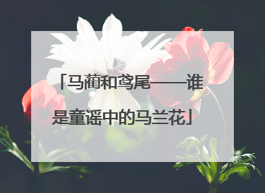 马蔺和鸢尾——谁是童谣中的马兰花