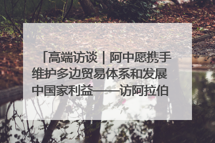 高端访谈｜阿中愿携手维护多边贸易体系和发展中国家利益——访阿拉伯议会议长亚马希