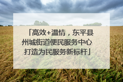 高效+温情，东平县州城街道便民服务中心打造为民服务新标杆
