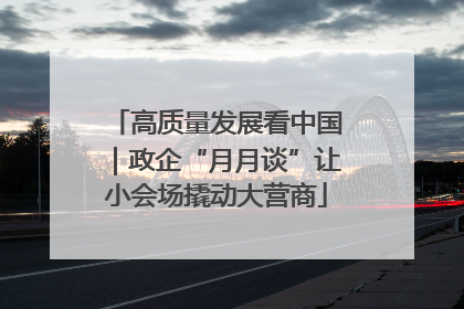 高质量发展看中国｜政企“月月谈”让小会场撬动大营商