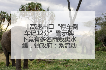 高速出口“停车倒车记12分”警示牌下竟有多名商贩卖水瓢，镇政府：系流动摊位，已多次劝离