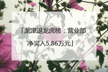 龙津退龙虎榜：营业部净买入5.86万元