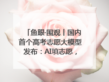 鱼眼·围观丨国内首个高考志愿大模型发布：AI填志愿，靠不靠谱？