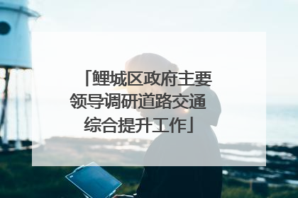 鲤城区政府主要领导调研道路交通综合提升工作