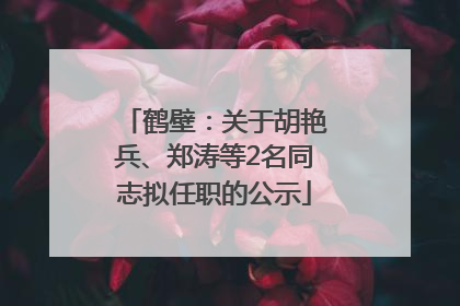 鹤壁：关于胡艳兵、郑涛等2名同志拟任职的公示