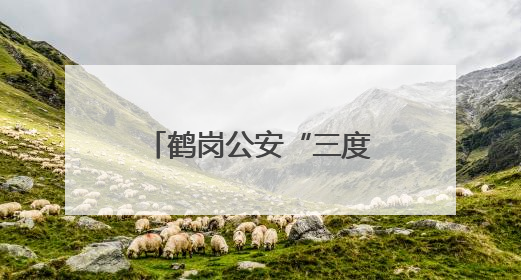 鹤岗公安“三度”模式 打造政务服务新标杆