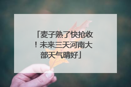 麦子熟了快抢收！未来三天河南大部天气晴好
