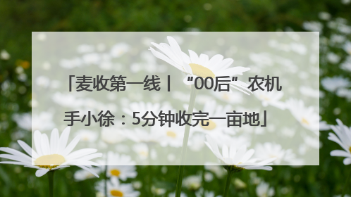 麦收第一线丨“00后”农机手小徐：5分钟收完一亩地
