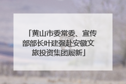 黄山市委常委、宣传部部长叶建强赴安徽文旅投资集团履新