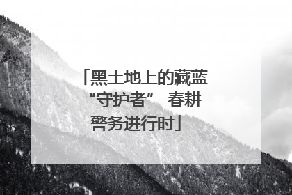 黑土地上的藏蓝“守护者” 春耕警务进行时