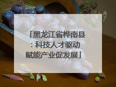 黑龙江省桦南县：科技人才驱动 赋能产业促发展